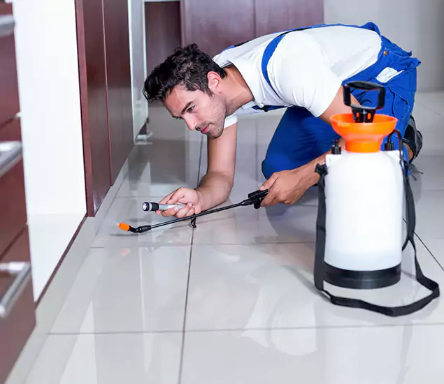Reliable Professional Mouse Removal: Your Best Mouse Control Company in White Lake, MI