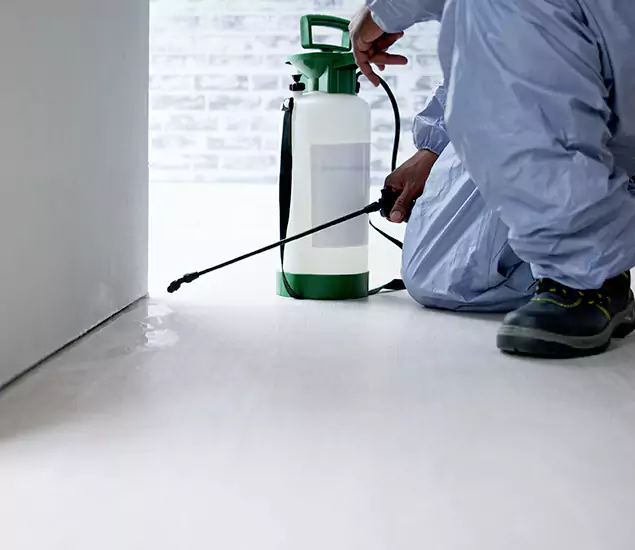 Affordable Pest Control Experts in White Lake, MI