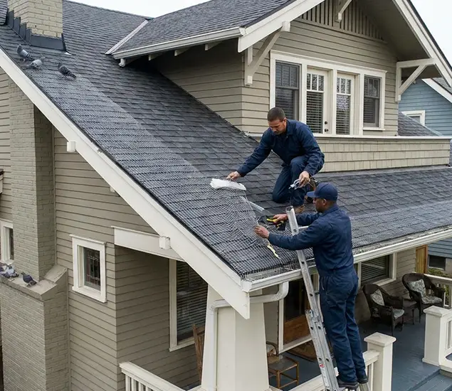 Your Pigeon Control Experts in White Lake, MI