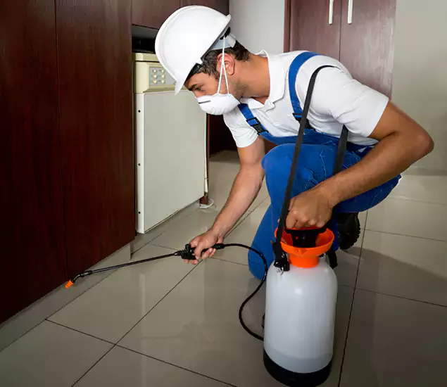 Advanced Termite Pre Treatment Experts in White Lake, MI