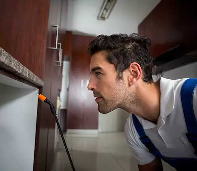 Expert Rodent in Attic Removal: Your Proven Pest Specialists in White Lake, MI