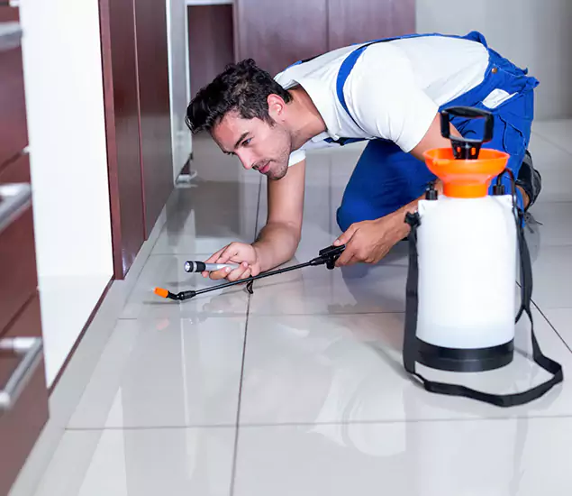 Advanced Slab Termite Treatment Experts You Can Trust&nbsp;in White Lake, MI