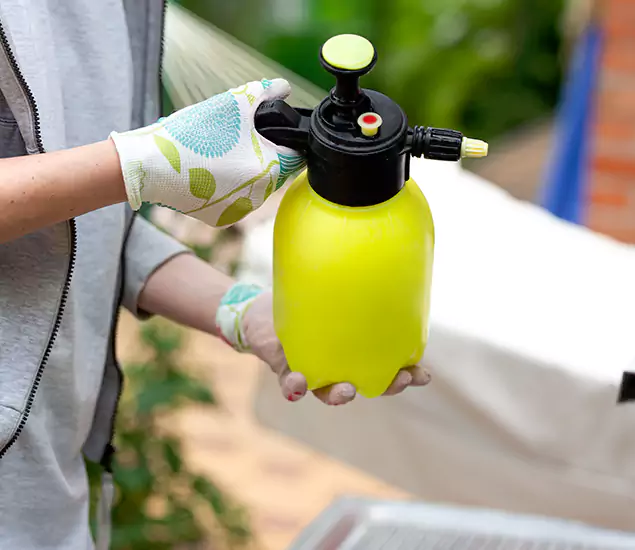 Skilled Residential Small Black Ant Service in White Lake, MI