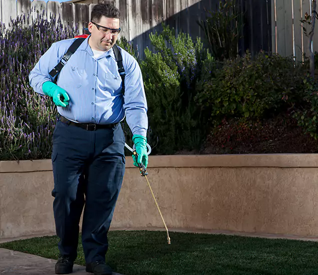 Reliable Termite Barrier Treatment Experts in White Lake, MI