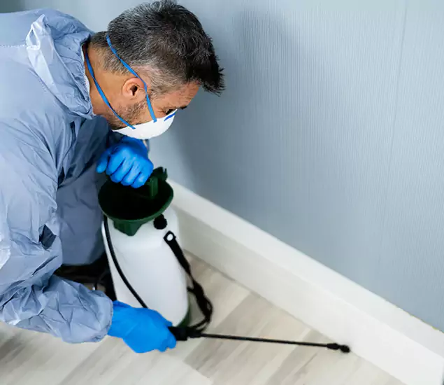 Reliable Termite Cost Experts in White Lake, MI