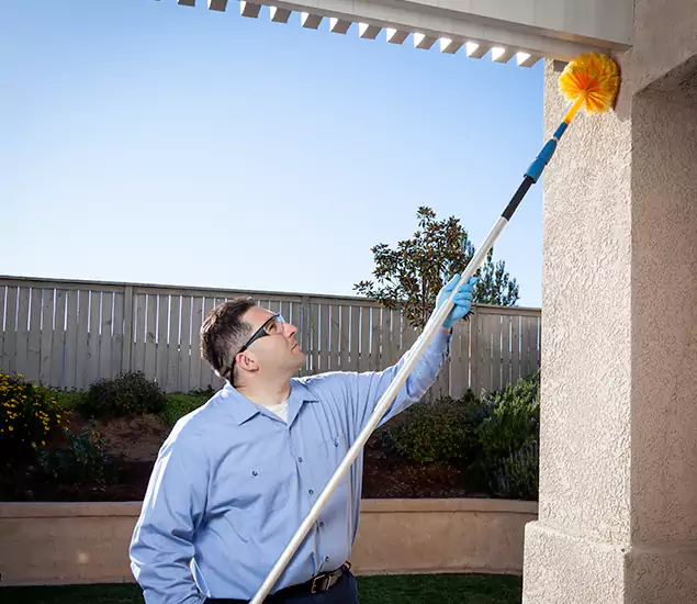 Your Trusted Wasp Removal Company in White Lake, MI