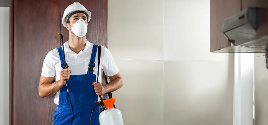 Per Room Bed Bug Cost in White Lake