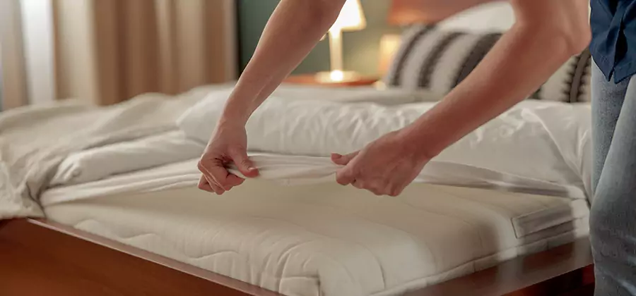 Bed Bug Extermination Services in White Lake