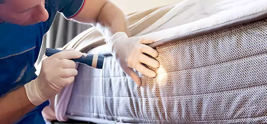 Residential Bed Bug Treatment Cost in White Lake