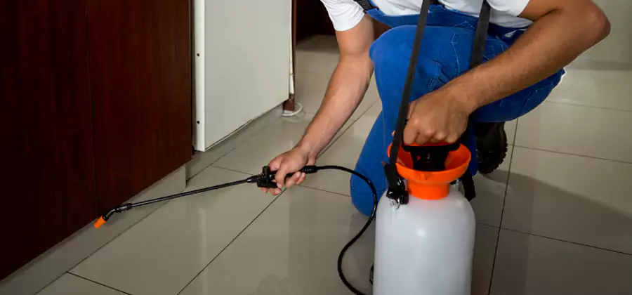 Palmetto Bug Exterminator in White Lake