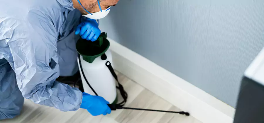 Fumigate Apartment Roaches in White Lake