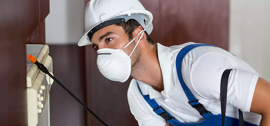 Injection Foam Treatment for Drywood Termites in White Lake