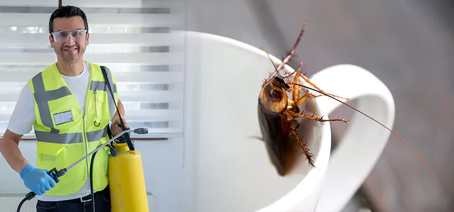 German Roach Infestation Treatment White Lake