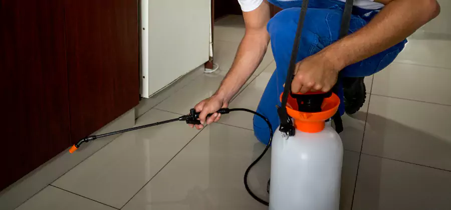 Indoor Mosquito Treatment in White Lake