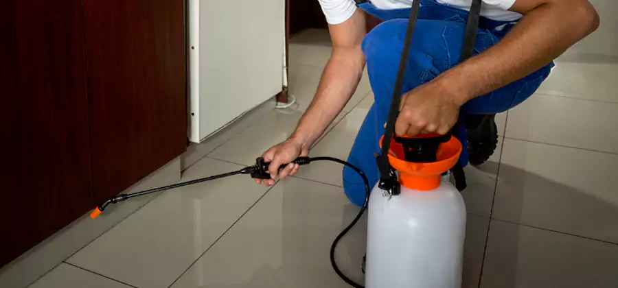 Indoor Insect Killer Solutions in White Lake