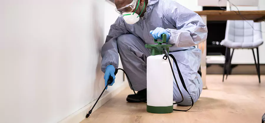 Long Lasting Mosquito Treatment in White Lake