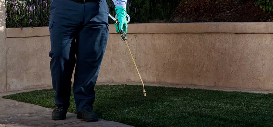 Soil Treatment for New Construction Termites in White Lake