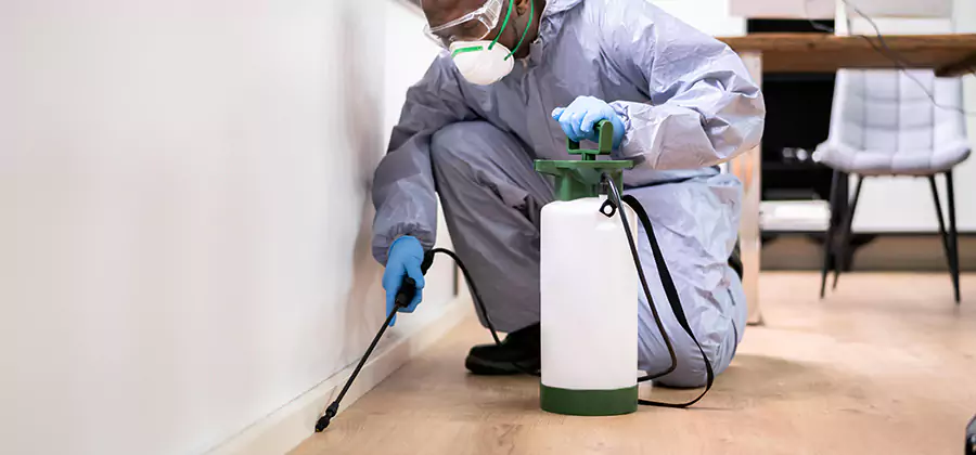 No Tent Termite Extermination With Electric Tool in White Lake