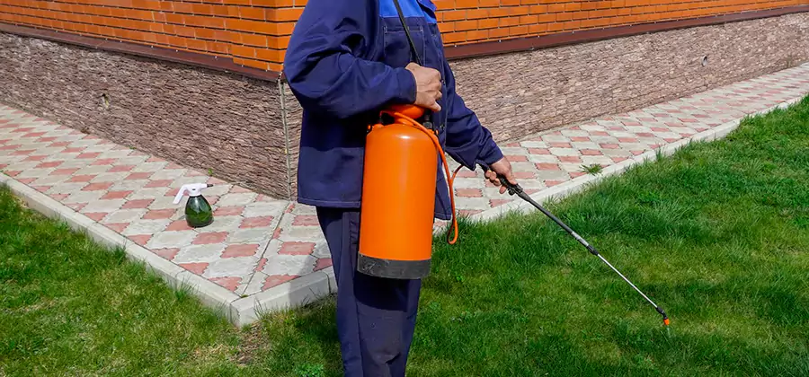 Non Toxic Termite Treatment in White Lake