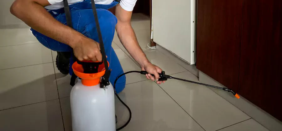 One Time Termite Control in White Lake