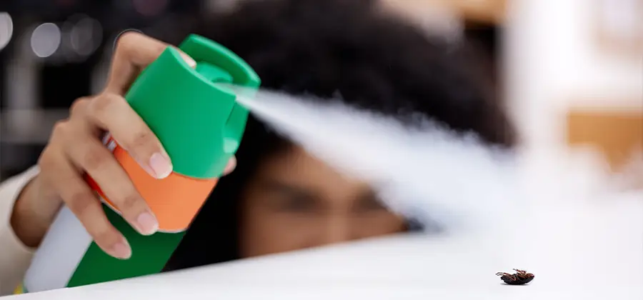Child Safe Bed Bug Treatment in White Lake