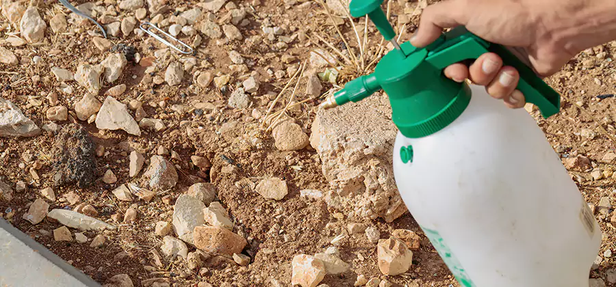 Heat Treatment Termite Cost in White Lake