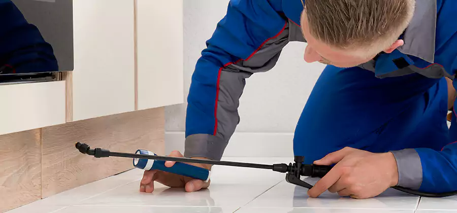 Moisture Treatment For Termite Control Service in White Lake