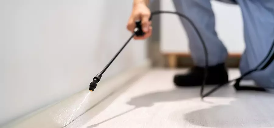 Direct Termite Injection Treatment in White Lake