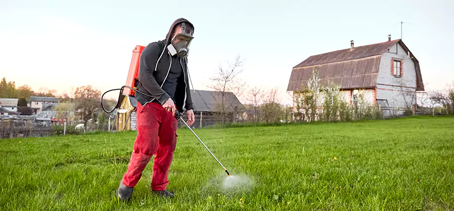 Flea and Tick Pest Control in White Lake