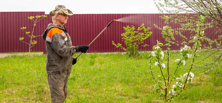 Flea and Tick Spray for Yard in White Lake