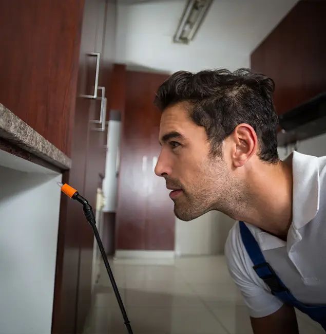 Why Choose White Lake Pest Control Pro for Bed Bug Removal Cost in White Lake, MI?
