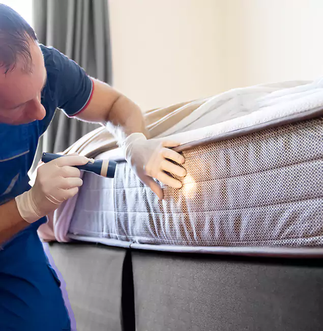 Why Choose White Lake Pest Control Pro for Bed Bug Services in White Lake, MI?