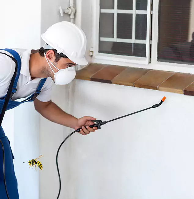 Why White Lake Property Owners Choose White Lake Pest Control Pro for Bee Nest Removal?