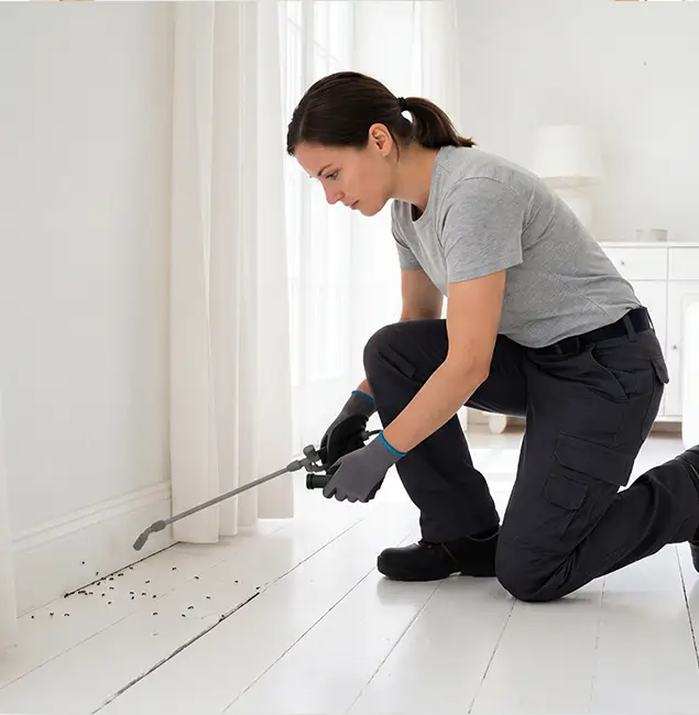 Why White Lake, MI Property Owners Trust White Lake Pest Control Pro for Fire Ant Control?
