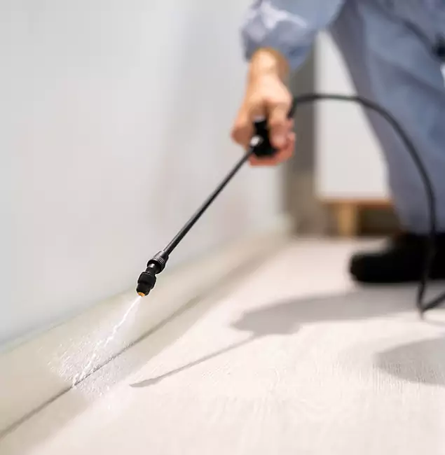 Why Choose White Lake Pest Control Pro for Termite Treatment in White Lake, MI?