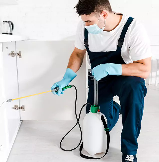 Why White Lake, MI Homeowners Trust Us for German Roach Control?
