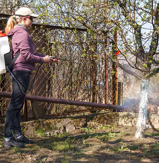 Why White Lake Homeowners Choose White Lake Pest Control Pro for Mosquito Abatement?