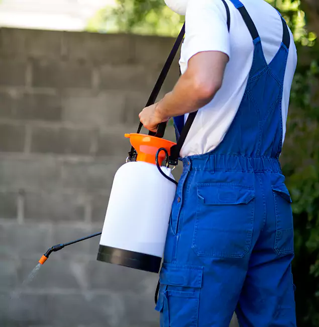 Why White Lake Homeowners Rely on White Lake Pest Control Pro for Mosquito Control?