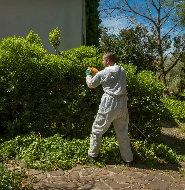 Why White Lake Pest Control Pro Leads Mosquito Control in White Lake, MI?
