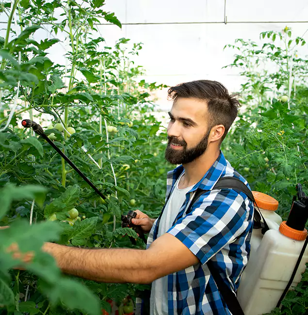Why White Lake Homeowners Choose White Lake Pest Control Pro for Mosquito Spraying?