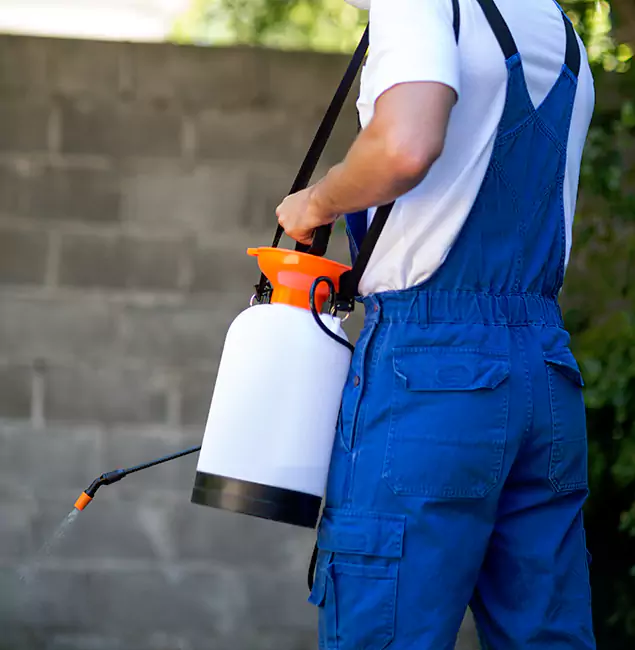 Why White Lake Pest Control Pro Delivers the Best Mosquito Control in White Lake, MI?