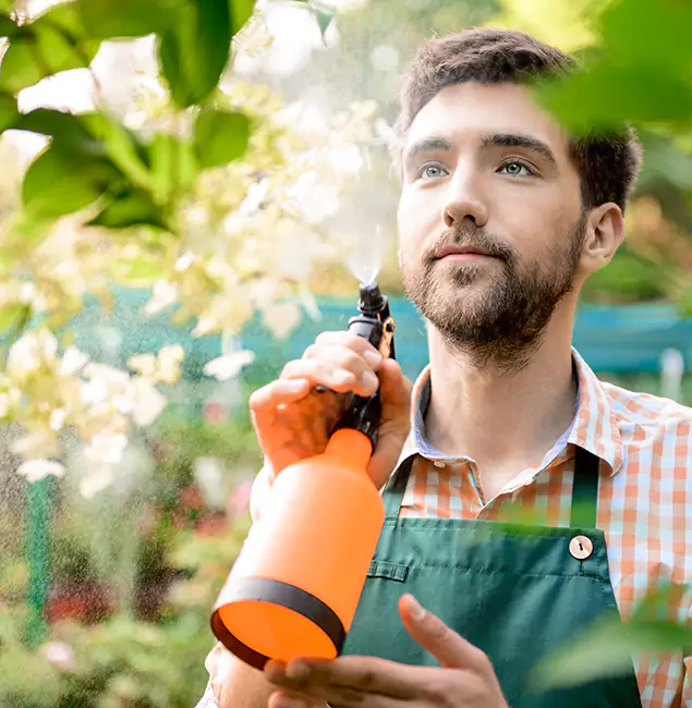 Why White Lake Homeowners Call White Lake Pest Control Pro for Mosquitoes in House?