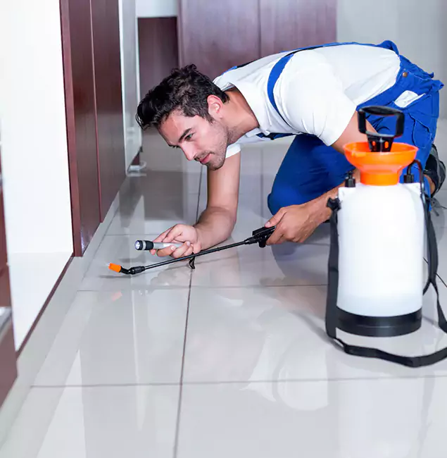 Why White Lake Pest Control Pro Is the Proven Choice in White Lake, MI?