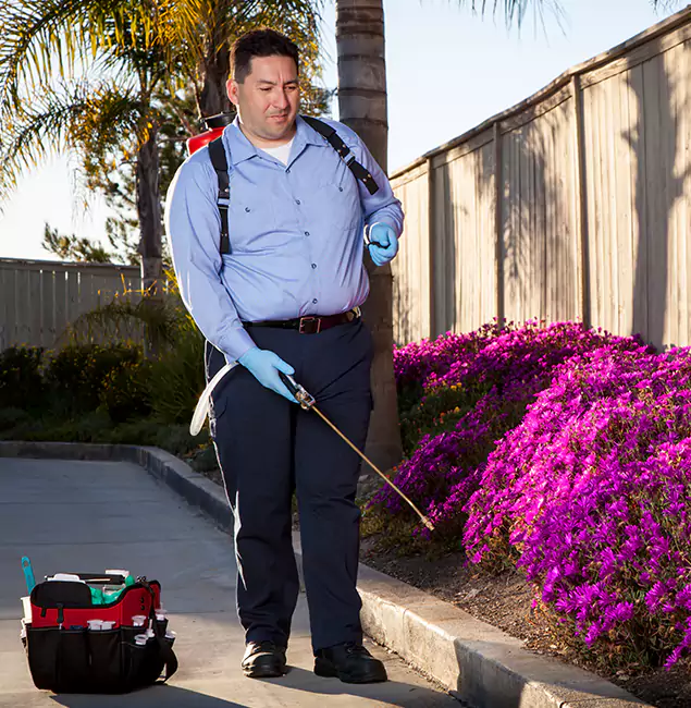 Why Choose White Lake Pest Control Pro in White Lake, MI?