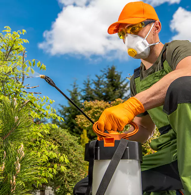 Why Choose White Lake Pest Control Pro for Outdoor Pest Control in White Lake, MI?