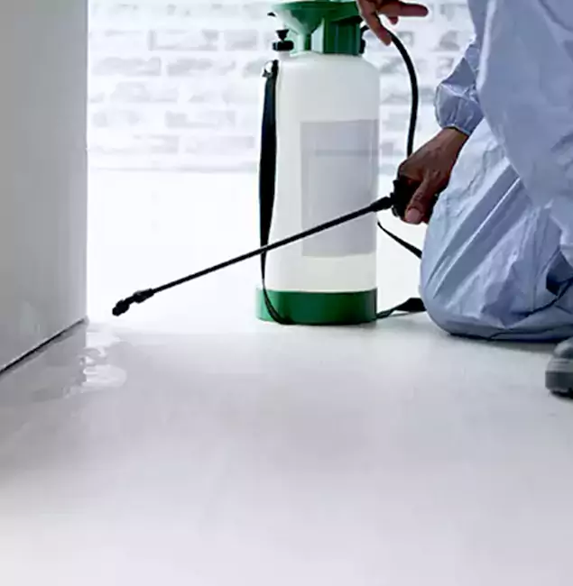 Why Choose White Lake Pest Control Pro for Rat Exterminator in White Lake, MI?