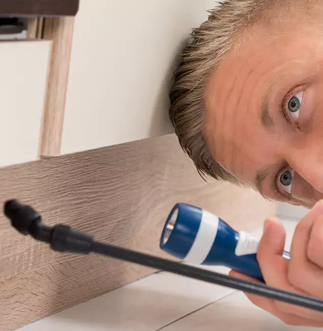 Why Choose White Lake Pest Control Pro for Rodent Exterminator in White Lake, MI?