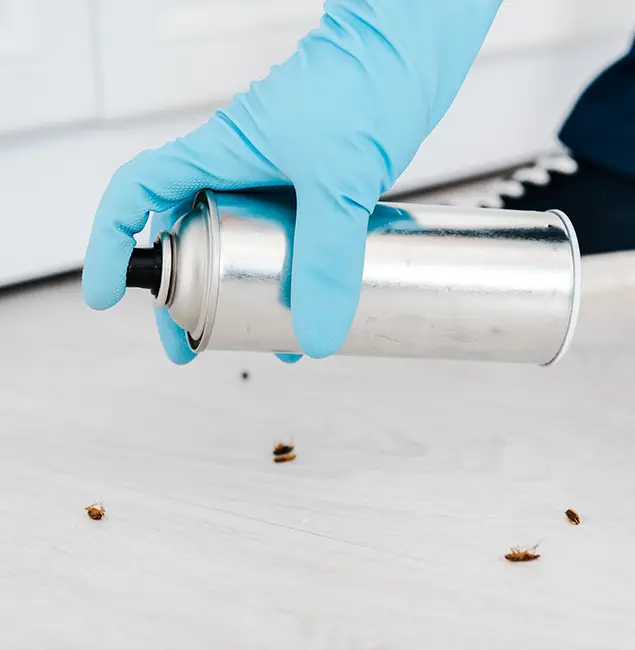 Why Choose White Lake Pest Control Pro for Safe Bed Bug Treatment in White Lake, MI?