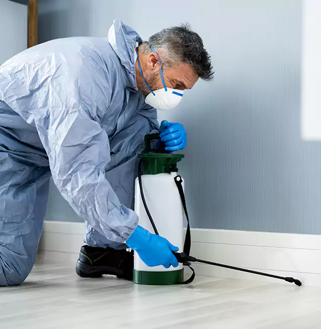 Why Choose White Lake Pest Control Pro for Subterranean Termites Treatment in White Lake, MI?