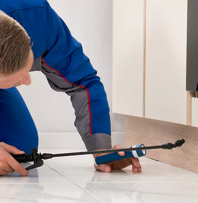 Why White Lake Residents Choose White Lake Pest Control Pro to Get Rid of Sugar Ants?